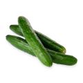 RedMart Japanese Cucumber. 