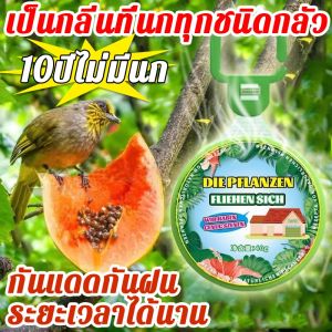 นกได้กลิ่นแล้วบินหนีไปไล่นก ไล่นกพิราบถาวร ก้อนไล่นกพิราบ ก้อนไฟป่าไล่นก เพียงแขวนไว้ ไล่นกได้ง่าย ไม่กลัวฝน ผลยาวนาน ปลอดภัยไร้สารพิษ เหมาะสำหรับหลายสถานที่ ไล่นกพิราบ ที่ไล่นก อุปกรณ์ไล่นก เครื่องไล่นก ยาไล่นกพิราบ ก้อนไล่นกพิราป