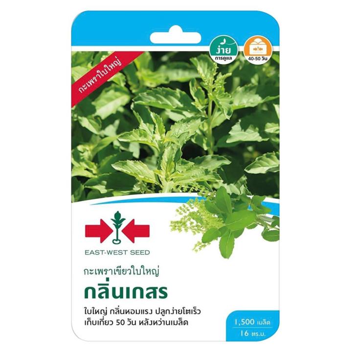 เมล็ดพันธุ์กะเพราเขียวใบใหญ่ กลิ่นเกสร HomePro ศรแดง