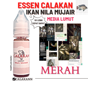 Calakan Essen Ikan Nila Mujair Mujaer Esen Media Lumut Air tawar payau Original Ampuh Gacor Boster