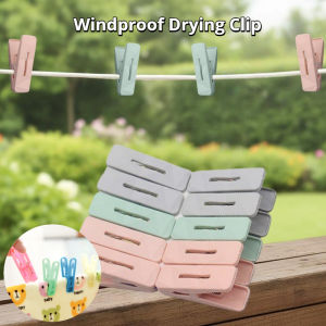 10/12 PCS Colorful Clothespin Windproof Spring Clips Small Clothes Pin Laundry Home Use Multifunction Supplies