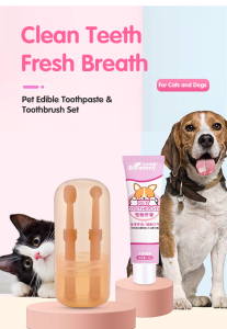 Pet Silicone Toothbrush & Edible Toothpaste: Clean Care for Dog & Cat Teeth