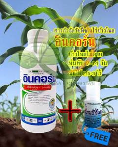 สารกำจัดวัชพืชในไร่ข้าวโพด. อินคอร์น ขนาด  1 L.+ สารจับใบ:free เสื้อ 1 ตัว>>พ่นทับข้าวโพดได้