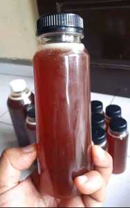 madu klanceng trigona /Madu Klanceng Bambu