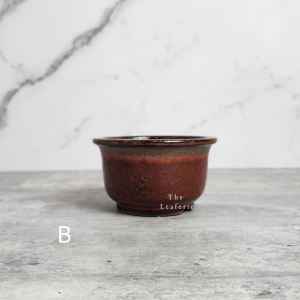 The Leaferie Petit Bonsai Pot (Series 21) . Plant pot . Ceramic . Flowerpot . Planter . small purple sand pots
