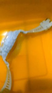 JAM TANGAN DIGITAL/Jam tangan anak/jam tangan sport remaja/Fashion wanita/free bok+batrai cadangan/ bisa dibawa mandi/murah meriah