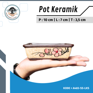 Pot Bonsai Keramik MAME Small RANDOM