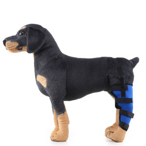 Dog Post-Surgery Hind Leg Support Brace Knee Splint for Recovery Walking Aid