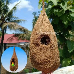 [COD] Glodok sarang burung gantung serat sabut kelapa