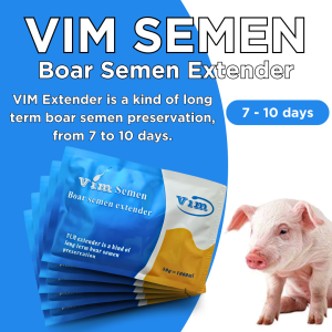 GLP Vim Boar Semen Extender 5-7days | Pig Semen Collection Extender for SUMPIT Artificial Insemination Swine A.I
