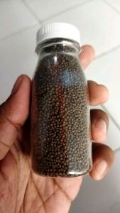 Pellet Chana: Meningkatkan Pertumbuhan & Warna Ikan