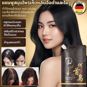 เห็ดหลินจือดำและโพลีโกนัม มัลติฟลอรัม แชมพูลดผมร่วง แชมพูเพิ่มความแข็งแรงให้เส้นผม สารสกัดจากสมุนไพร ควบคุมความมัน