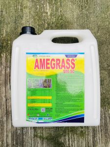 Herbisida AMEGRASS 500SC 1liter 2liter dan 5 liter dr Petrosida Gresik