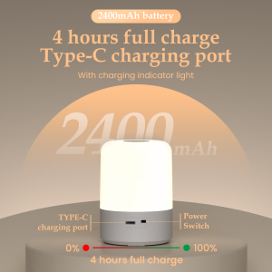 3Color Touch Night Light 2400Mah Bedside Sleep Light Dimmable Mini Table Lamp