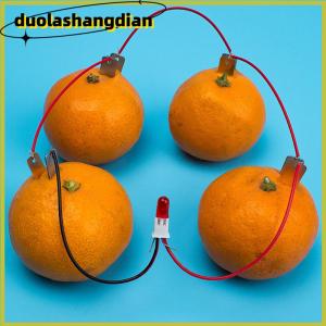 [Duola] 1 Set Children Bio Energy Science Kit Potato Fruit Supply Electricity Experiment
