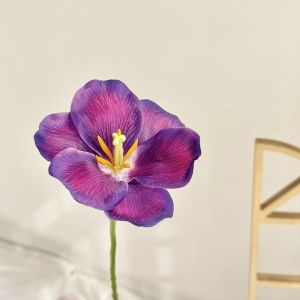 NEXTYOO Cành đơn Hoa Tulip nhân tạo Cánh hoa kép Trắng Cây giả nhân tạo Nhỏ Hoa Tulip giả Trang trí nhà cửa