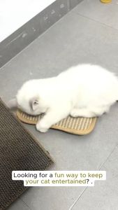 Catnip Sisal Pillow Toy 34CM Dental Grinding Claws & Teeth Health Durable Cat Scratcher Self Entertainment Mainan Kucing