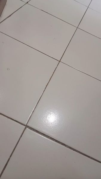 Buyer review video 2