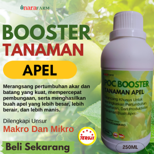 Pupuk apel cepat berbuahPupuk penyubur tanaman apelPupuk pelebat buah apelPupuk booster apel buah