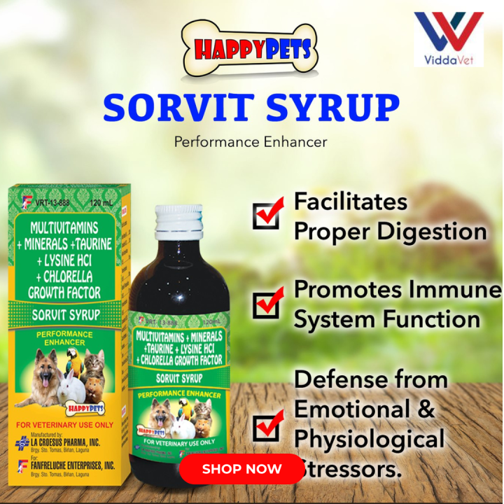 Sorvit Syrup Performace Enhancer 60ml 120ml Multivitamins