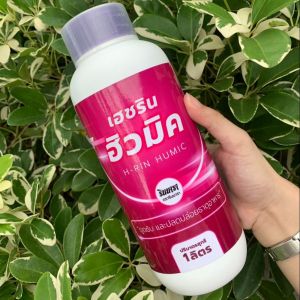 ฮิวมิคน้ำ สารสกัดจากธรรมชาติเหมาะสำหรับพืชทุกชนิด กระตุ้นการแตกรากพืชได้ดี ช่วยซึมซับธาตุอาหาร ขนาด 1 ลิตร