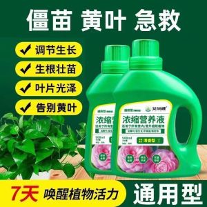 💗🙋‍♀️💗强力生根营养液生根液植物通用营养液树木扦插水培强力生根粉