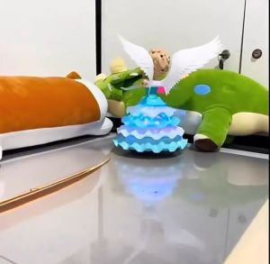 Childrens Electric Toys Transform into Dancing Princess/Princess with Wings/Princess Toy with Lights and Music/Baby Gift