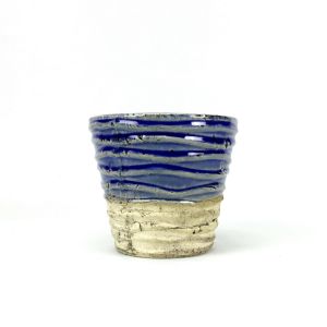 ต้นไม้ กระถางเซรามิค ปลูกต้น รุ้ม สำหรับการกระถางต้นไม้ขนาดเล็ก