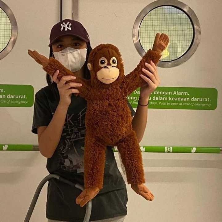 Boneka Monkey IKEA Boneka orang hutan tinggi 50 cm bahan bulu halusSNI