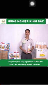 Combo 5 chai Diệt côn trùng Bestkill 1L - Công Nghệ Liên Bang Đức