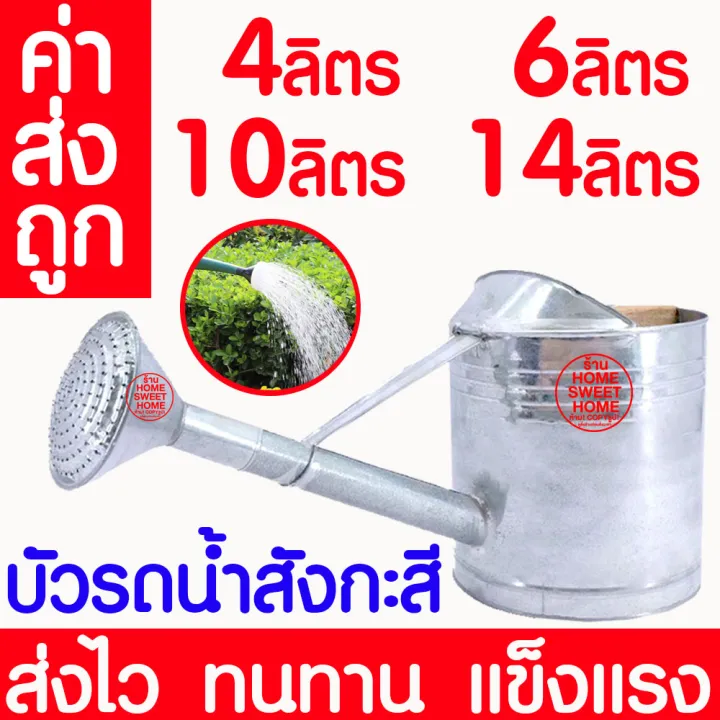 เทียบชัดๆ บัวรดน้ำสังกะสี vs Daiso บัวรดน้ำพลาสติก: รุ่นไหนเหมาะกับสวนคุณมากกว่า?