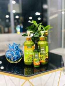 COMBO DẦU GỘI HIỀN BÙI(1 GỘI 1 XẢ TẶNG KÈM 1 XỊT GỪNG NGÃI CỨU 180K)