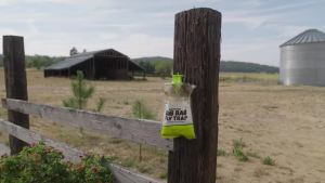 RESCUE! Big Bag Fly Trap – Outdoor Use - 6 Traps