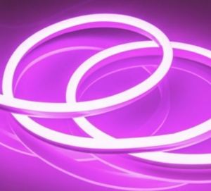 NEON FLEX Lampu LED Strip Neon Flexible LED Strip Flexible 100M / 50M 220V IP65 WATERPROOF free soket