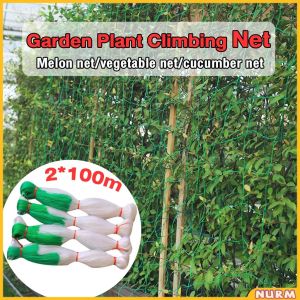 Nurm Garden Plant Climbing Net Vegetables Cucumber Trellis Net Trellis Net 2Mx100M