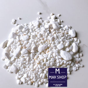 1Kg Đá Sỏi Trắng Viên Vừa Trang Trí Hồ Cá Cảnh Bể Cá Cảnh Hồ Thủy Sinh