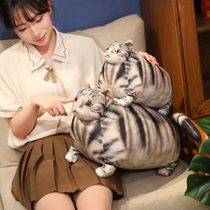 JOJO CASTLE 30/50cm Chubby Fat Cat Plushie Toy 3D Simulation Little Head Big Body Animal Doll Huggable Pillow Home Decoration