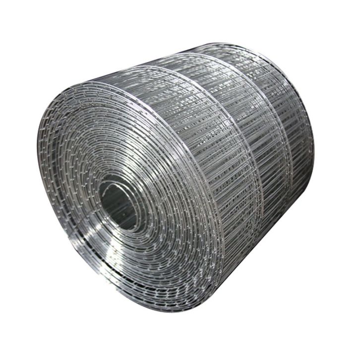 Big Sale 30CM Wide 10X100mm Hole Galvanized Welded Wire Mesh Cage