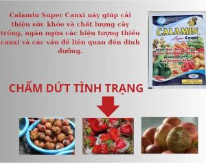 Phân Bón Lá Calamin 50Gr – Bổ Sung Canxi & Magie Ngăn Ngừa Thối Đỉnh Trái Chống Nứt Quả