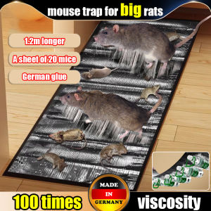 【Germany】rat trap catcher mouse trap for big rats mouse trap glue board rat killer big mouse trap 100 times viscosity rat sticker trap