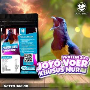 VOER BURUNG MURAI | VOER HARIAN | VOER NUTRISI KOMPLIT | JOYO VOER KHUSUS MURAI