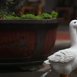 Funny Duck with Rain Boot Resins Figurine Sculpture Garden Ornament for Home Office Desktop and Patios Lawn Decoration