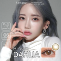 Kính áp tròng cận 6 tháng LENS XOẮN lens nâu hàn quốc phủ bóng OLOLA DAHLIA BROWN. 