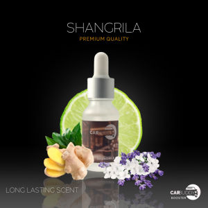 Air Purifier Oil Boosters by Car Buddy - 100% Pure Fragrance Oil for Long-lasting Scent