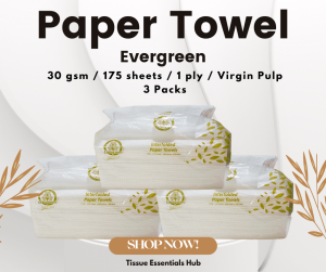 Evergreen Interfolded Paper Towel Virgin Pulp 30 GSM 175 Sheets (Packed by 3)