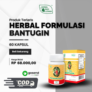Herbal Batu Ginjal 60c - HIU BANTUGIN herbal untuk meluruhkan batu urin ginjal dan saluran kemih