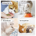 Cỏ Mèo Catnip Bạc Hà tự nhiên Giúp giảm stress cho mèo, tiêu búi lông, giảm hôi miệng, thư giản. 