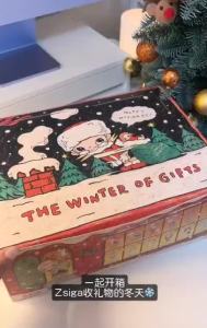 POPMART Zsiga The Winter of Gifts Series Figures pop mart blind collection action figure decorative gift
