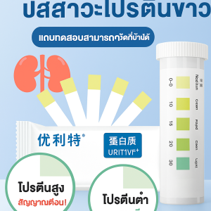 กระดาษทดสอบปัสสาวะ กล่องทดสอบปัสสาวะ ครัวเรือน การทดสอบตัวเอง ความไวสูง ผลลัพธ์อย่างรวดเร็ว