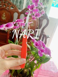 Dụng cụ tỉa rau củ Dao Tỉa Rau Củ Quả Kiwi - Dao khắc Trái Cây bằng thép không gỉ Chính hãng - gia dụng Nari
